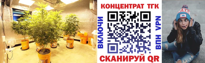 что такое наркотик  Андреаполь  ТГК гашишное масло 